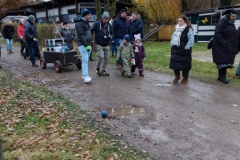IMG_20241123_141520