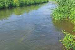 IMG-20240901-WA0014