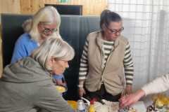 IMG-20250212-WA0016