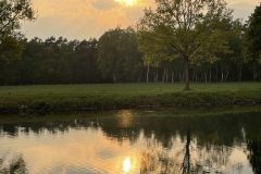 IMG_2334-scaled