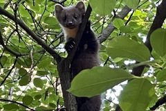IMG_2838-scaled