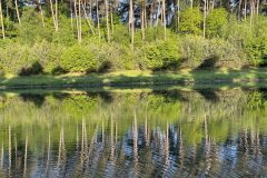 IMG_6842-scaled